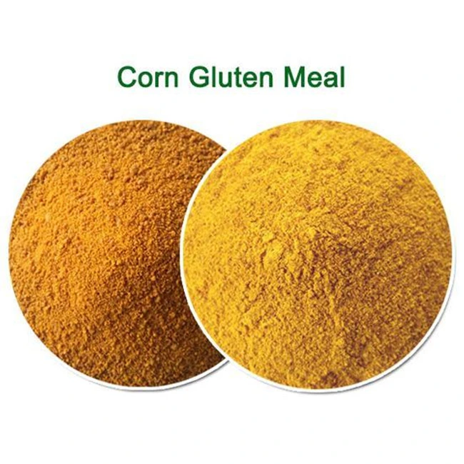 Supply Protein 60% Animal Feed Poultry Feed Additive Grade Corn Gluten Meal Corn Not Gluten Meal