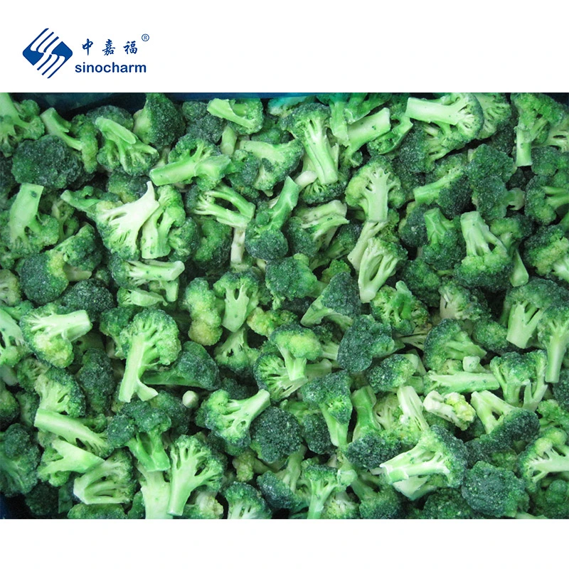 Sinocharm Wholesale Price Bulk 3-5cm IQF Broccoli with 5% Glazing Frozen Broccoli Florets with Brc a