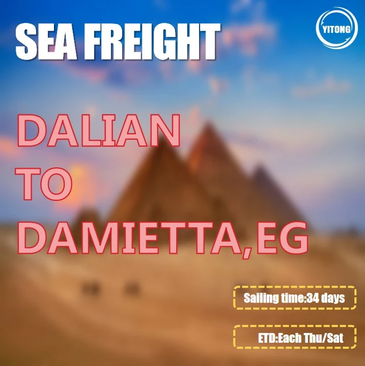 Cargo Ship Price From Qingdao to Damietta Egypt