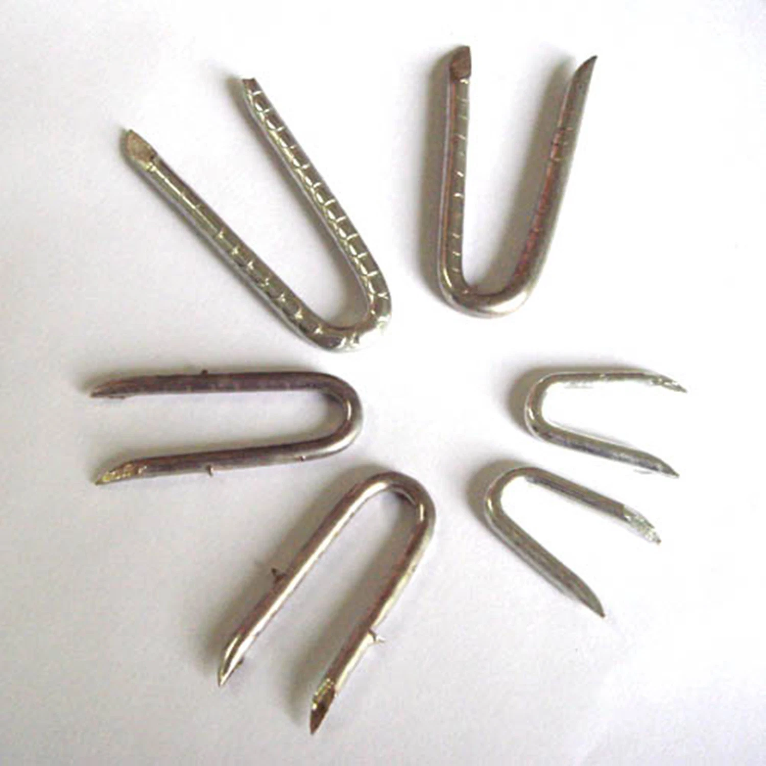 Good Price Bright/Galvanized U Fence Staples with Diamond Cut Point 2''