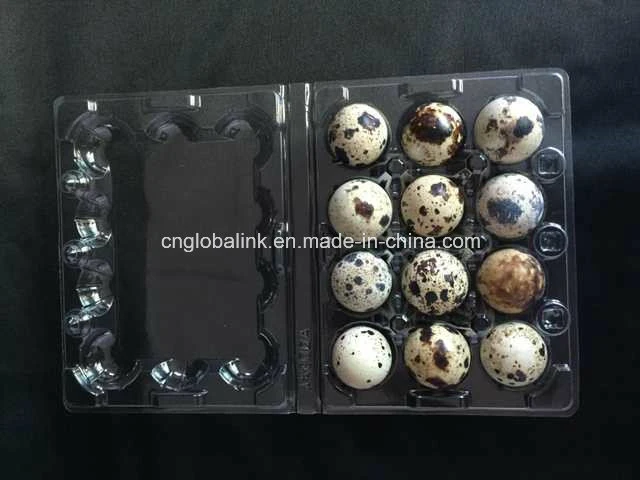 Clamshell Bilster Einweg-Kunststoff-Wachtel Egg Pack 30 Slots