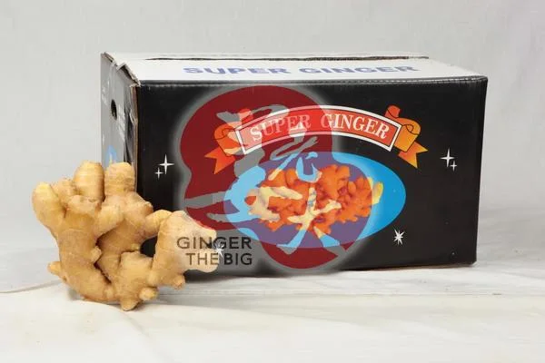 New Crop Fresh Ginger and Air Dry Ginger Mesh Bags and Cartons