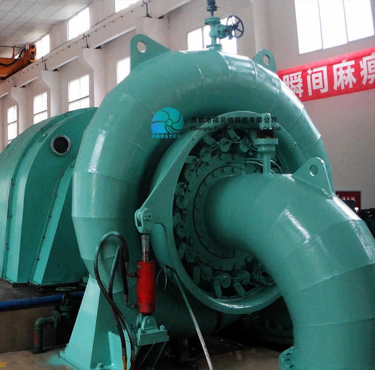 China Francis Hydrolic Turbine 1megawatt with Electric Generator