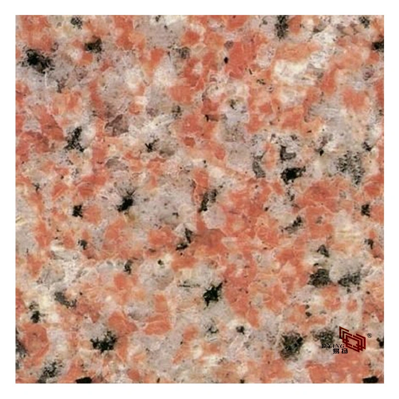 Pink/Grey/Whtie/Black/Brown/Red Granite Stone Polishing Tiles for Wall Flooring with Kitchen/Bathroom/Project/Hotel/Building