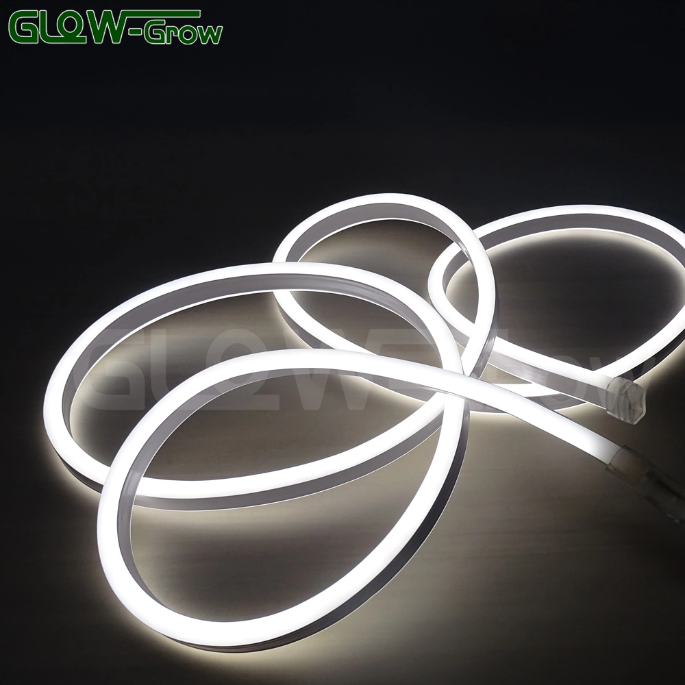 ETL UL 50m IP65 8*16mm Neon Flex LED Strip Lights for Outdoor Commercial Landscape Building Decoration