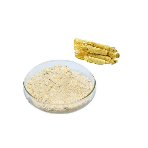 Factory Price Ginsenoside 10%50% 80%UV Ginseng Herbal Extract