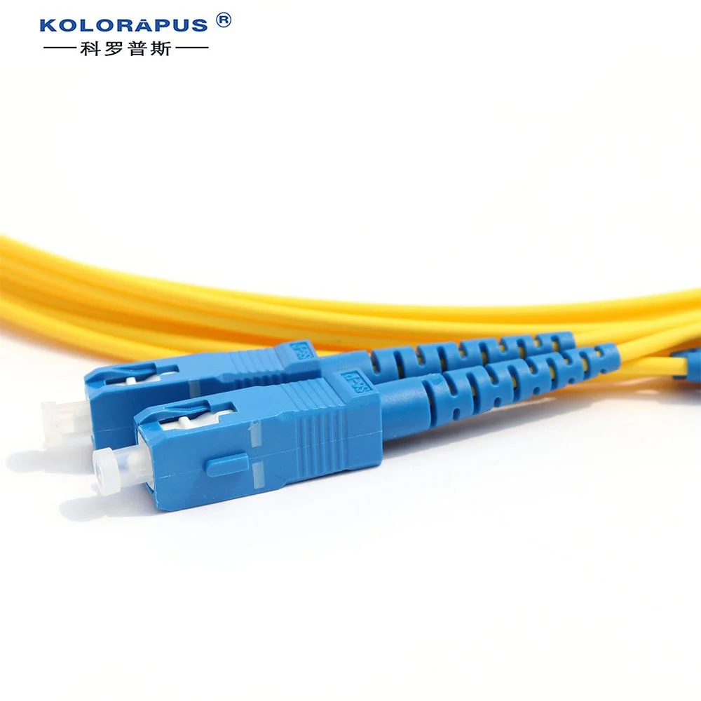 Sc-Sc Single Mode Duplex Fiber Optic Patch Cord Optical Jumper 3m