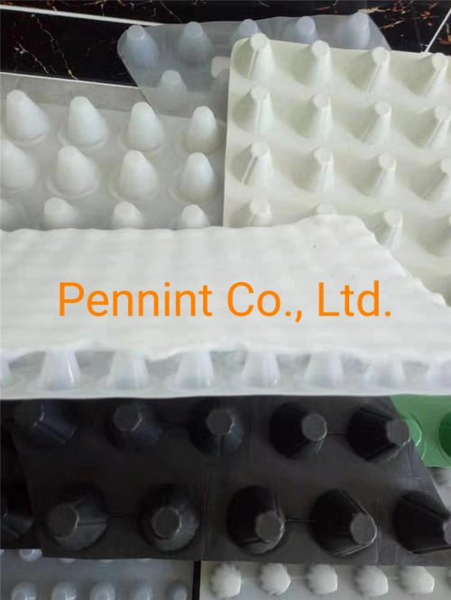 Drain Board with Geotextile