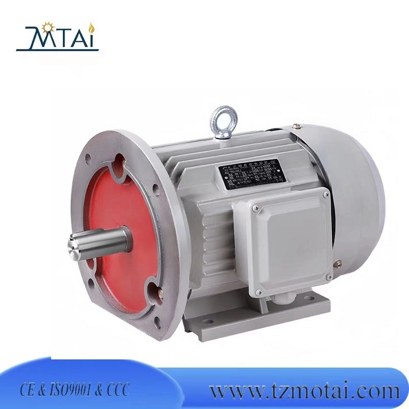 Anp GOST-Standard Three Phase Electric IEC Motor for East-Europe Market