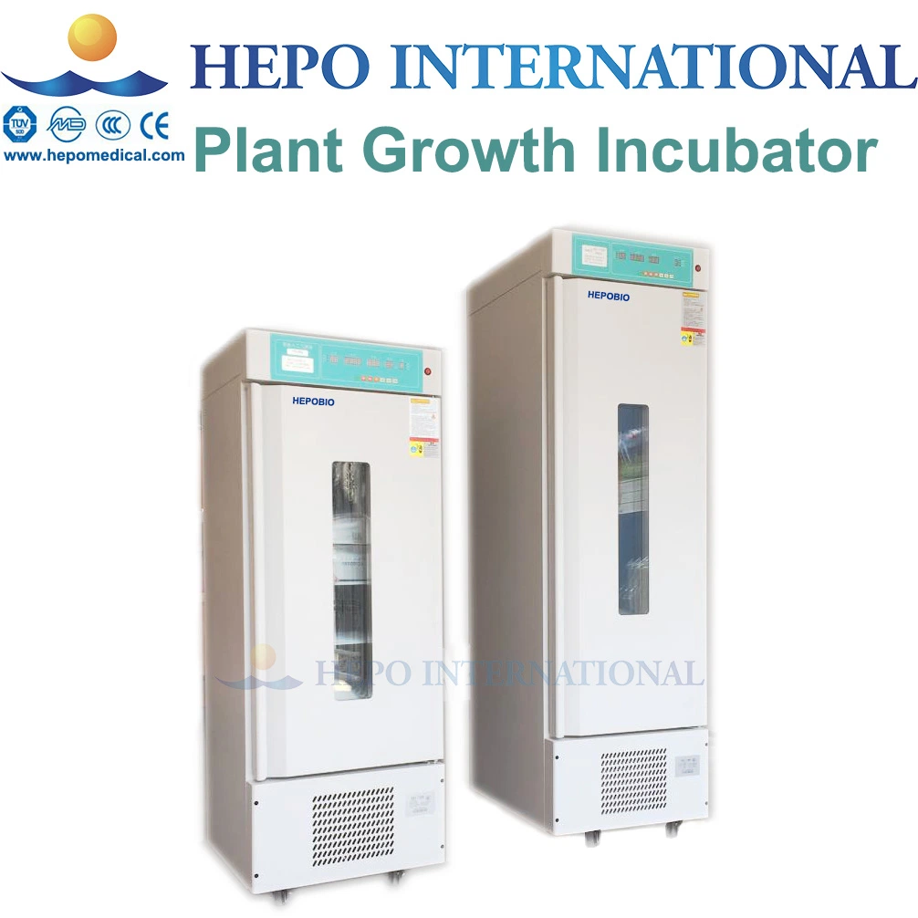 Laboratory Constant Temperature Humidity Mould Cultivation Incubator