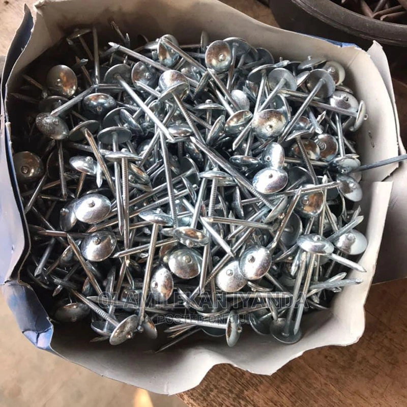 New Hot Selling Stainless Steel Round Head Nails Wholesale/Supplier Good Price