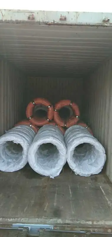 Low Carbon 2.5mm Galvanized Steel Wire