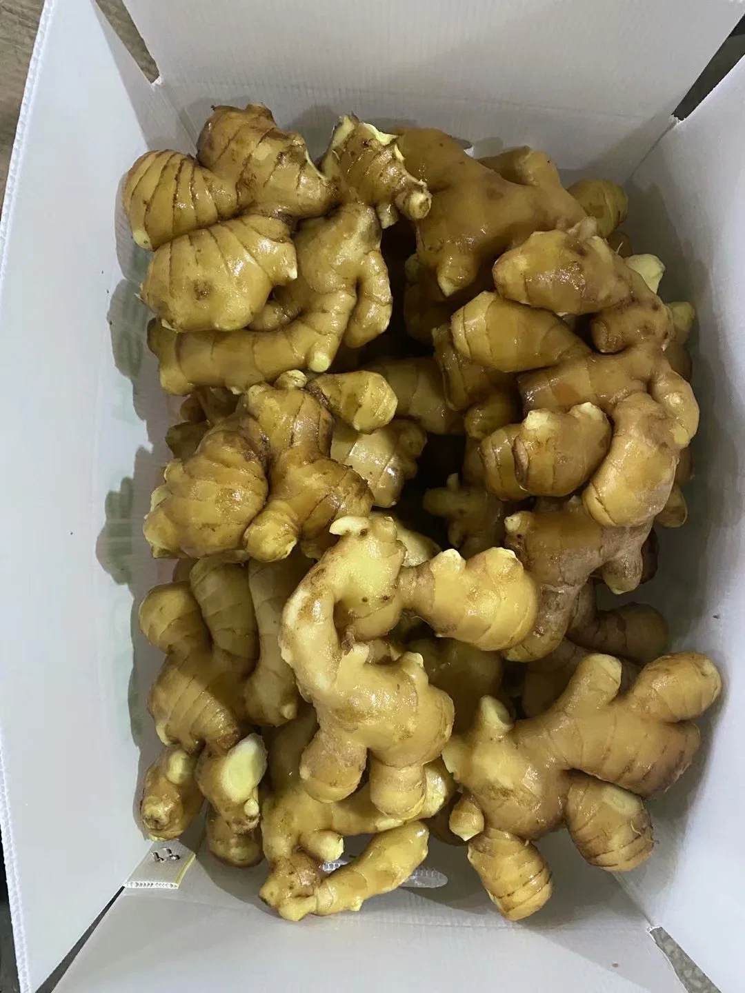 Hot Sales Fresh Ginger for European Market