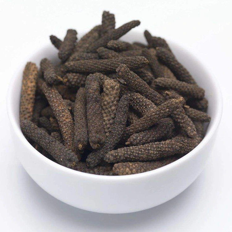 Dried Long Pepper Spice Bi Ba Premium Piper Longum for Food