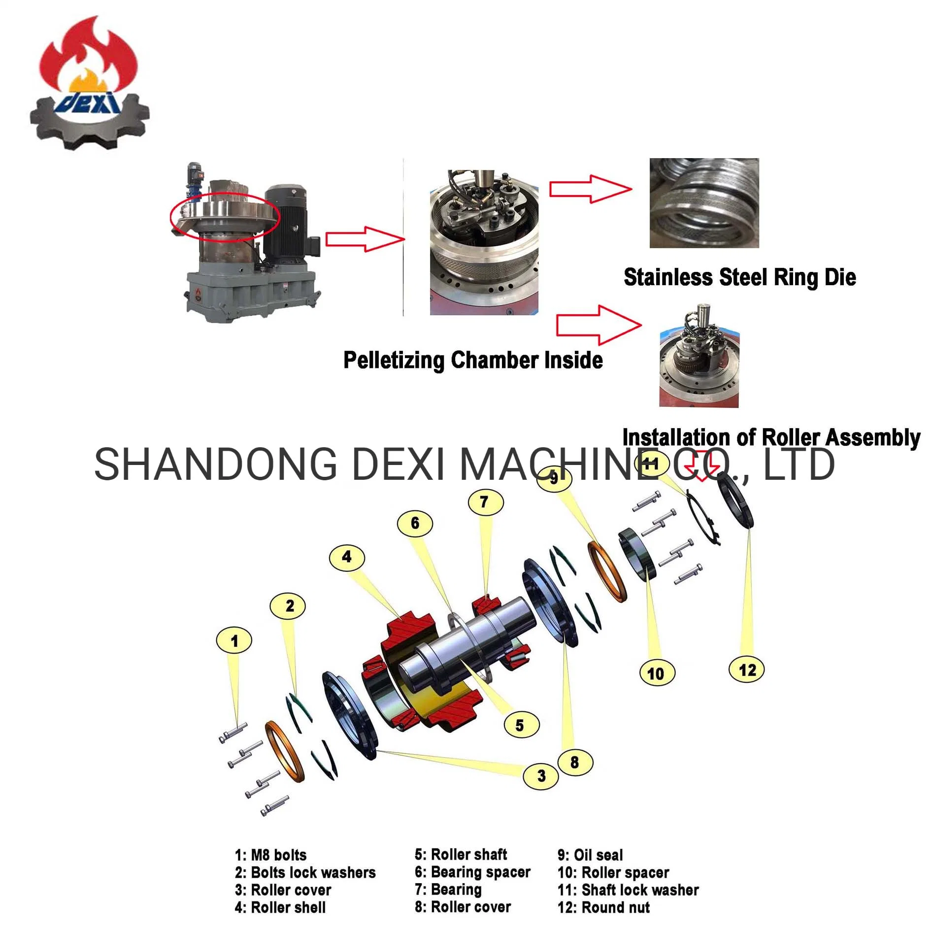 2023 Hot Sell New Design Vertical Double Ring-Die Pellet Mill