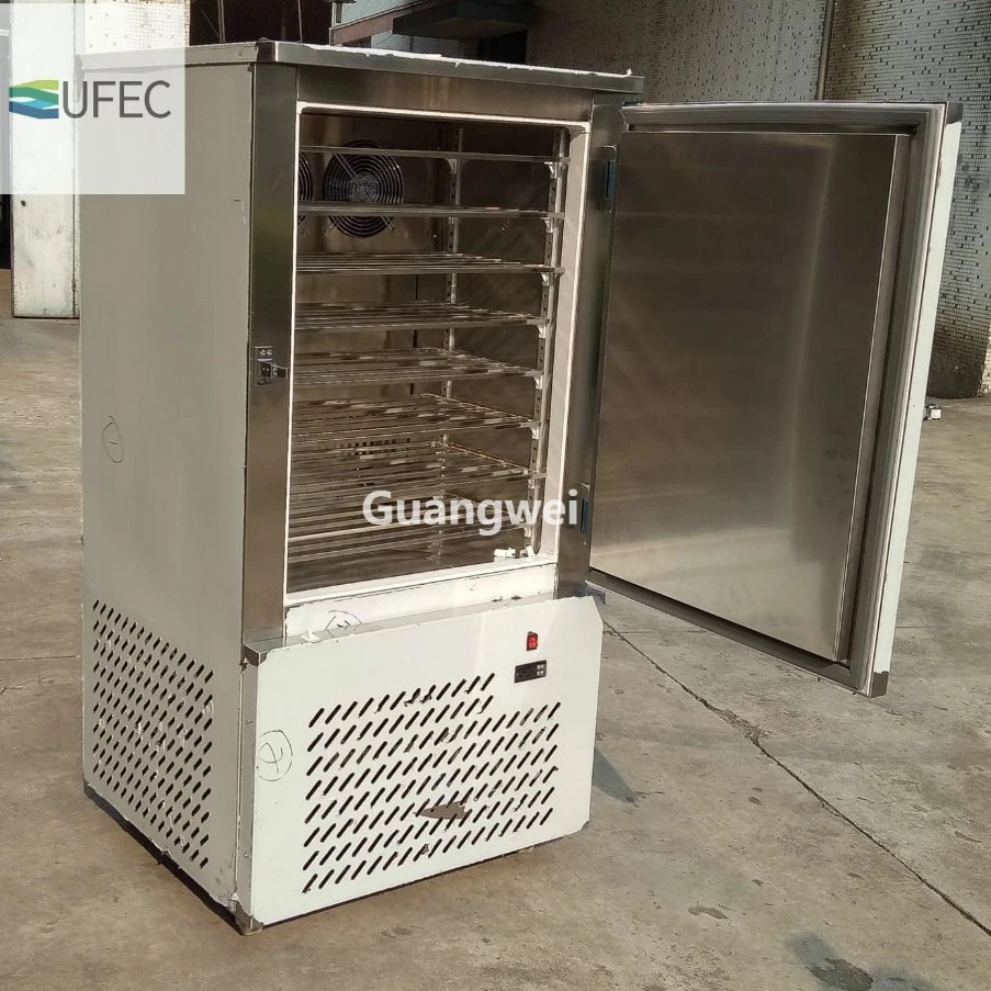 Commercial Fast Cooling Refrigerator Industrial Blast Freezer