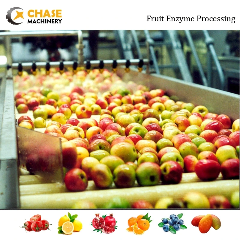 Professional Apple Chips Jam Pulp Juice Production Making Processing Plant