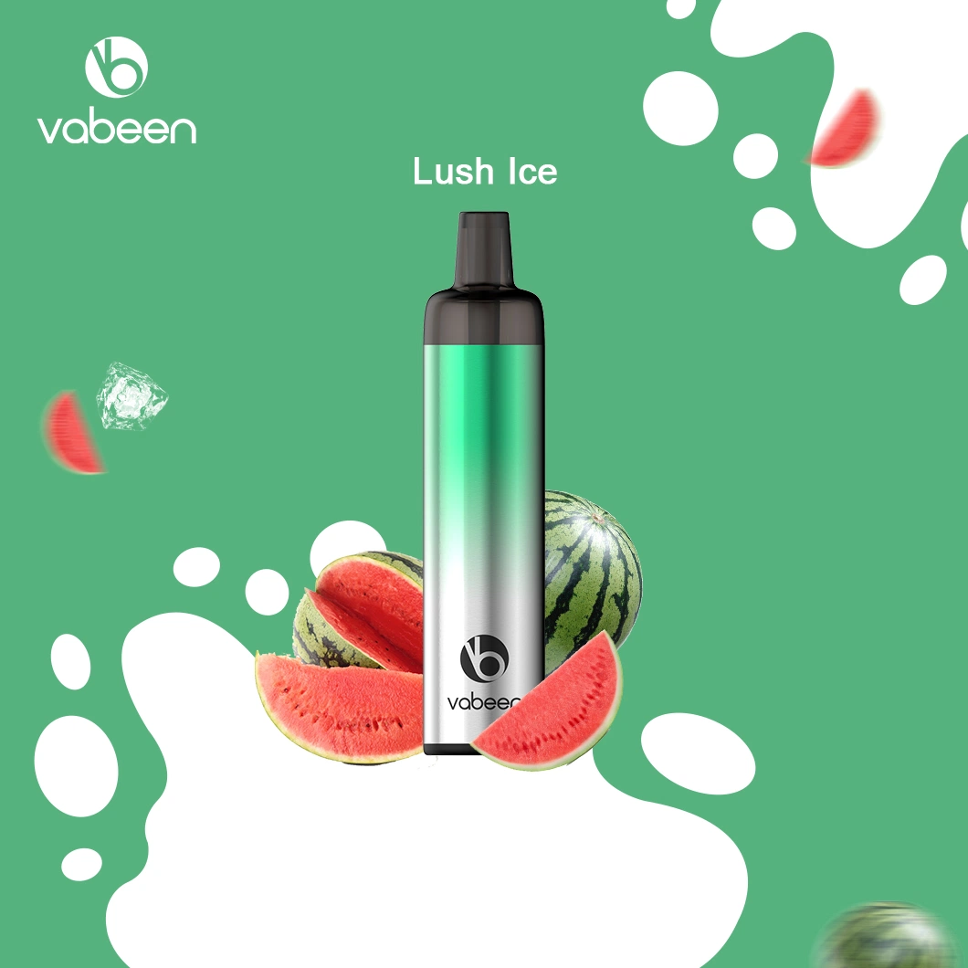 Vabeen Plum Lite 10 Flavors Disposable/Chargeable Vape Pen vape 3000 Puffs Wholesale/Supplier