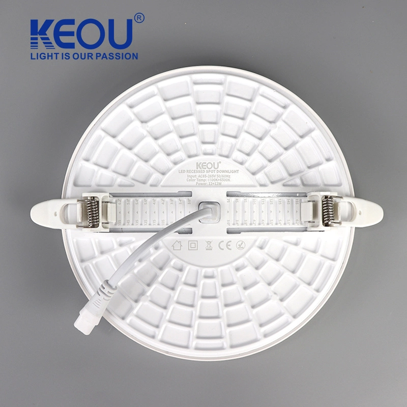 Indoor Electroplating Silverled LED Lamp Spot Downlight 24W Panel Light Downlight LED Interior Lighting