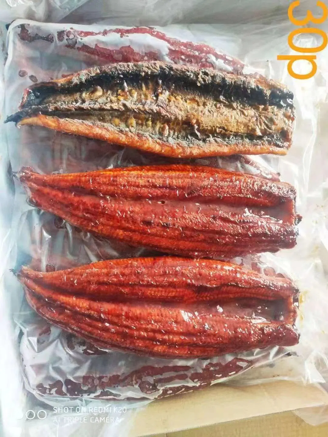 Frozen Roasted Eel/Unagi Kabayaki/Frozen Fish