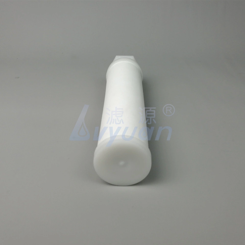 Customized Size 1 to 50 Micron Plastic PE Filter Sintered Water Filter with DOE Soe End Cap