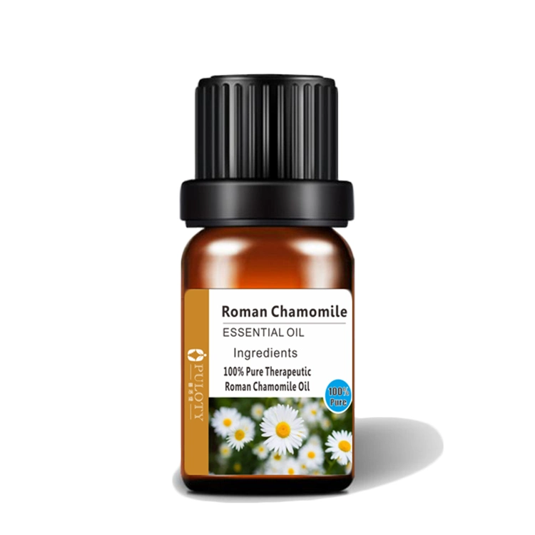 High Quality Roman Chamomile Essential Oil at Low Price for Healthcare