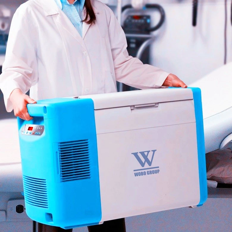 Cryogenic Mobile -135 Degree Medical Deep Freezer for Car