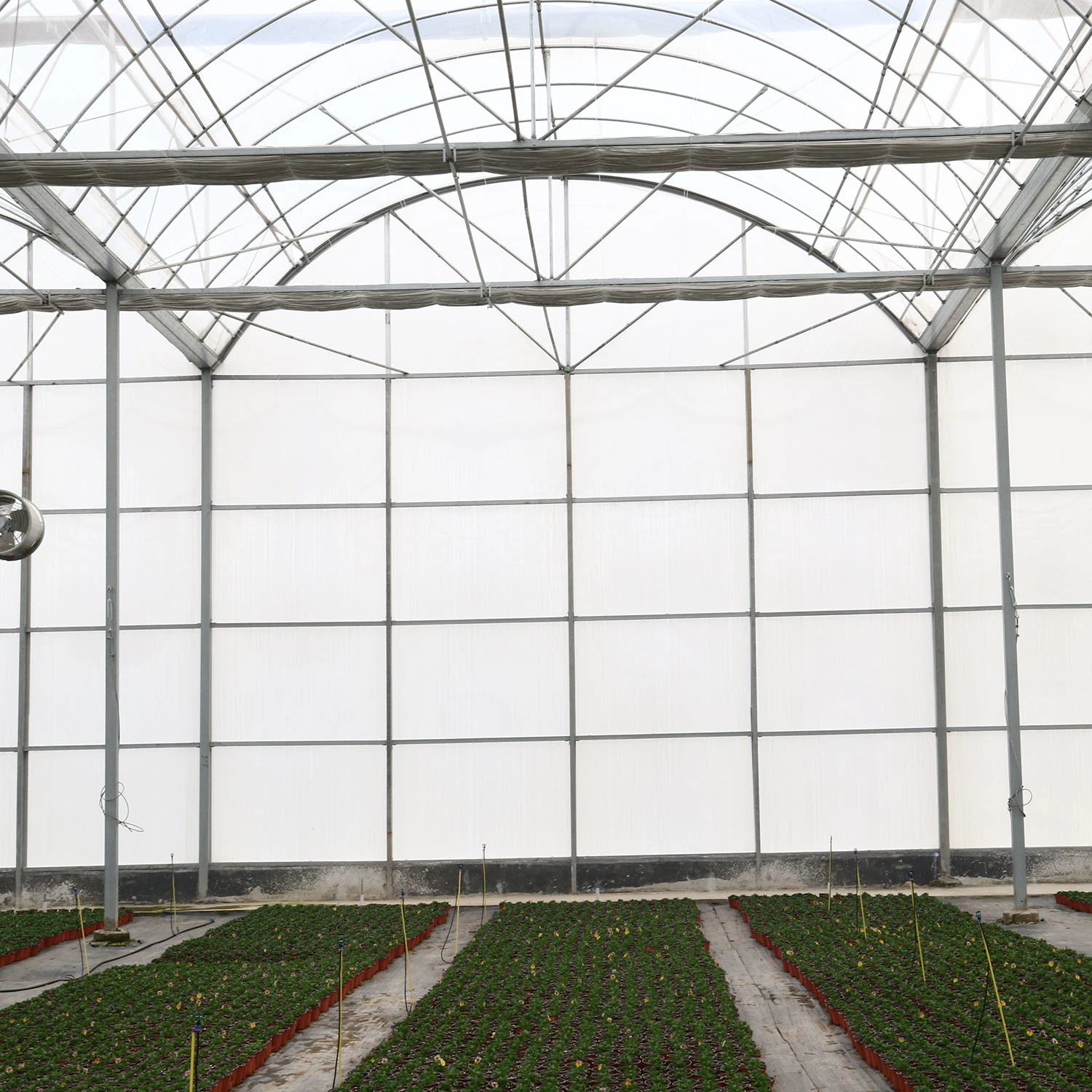 Film plastique agricole Multi-Span intelligent de serres pour les tomates