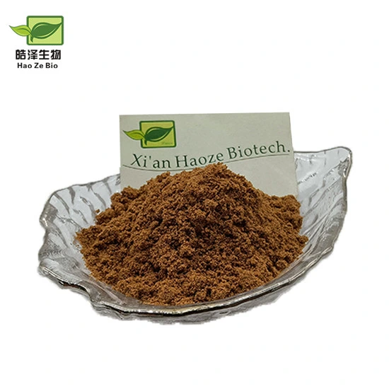 Bulk Pyrethrum Extract Akarkara Roots Powder Dry Akarkara Extract