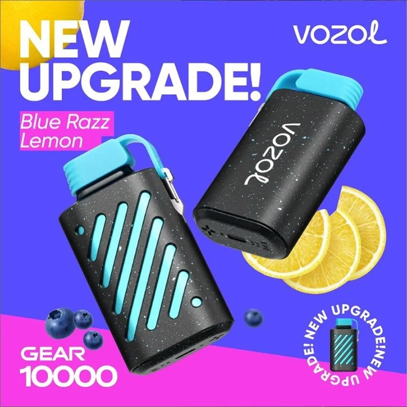 Factory Outlet Wholesale/Supplier Disposable/Chargeable Vape Vozol Gear 10000puffs ODM Vape Vozol 10000 E CIGS