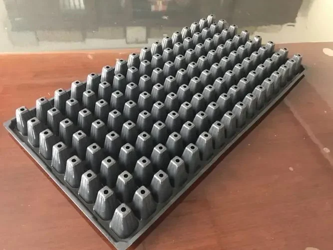 200-Cell Biodegradable Compostable Seedling Tray for Greenhouse