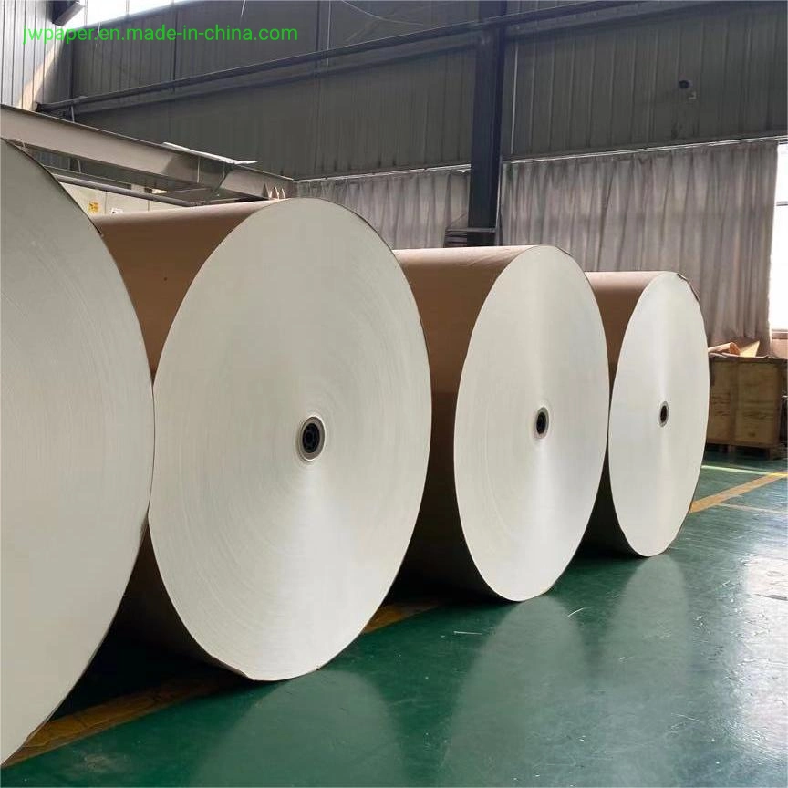 High quality/High cost performance Disposable Single or Double Side PE Coated Paper Roll