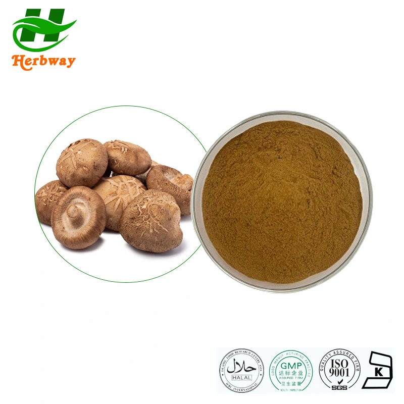 Herbway Kosher Halal Fssc HACCP Approved Shiitake Mushroom Extract Health Food Shiitake Mushroom Powder for Food Addictive