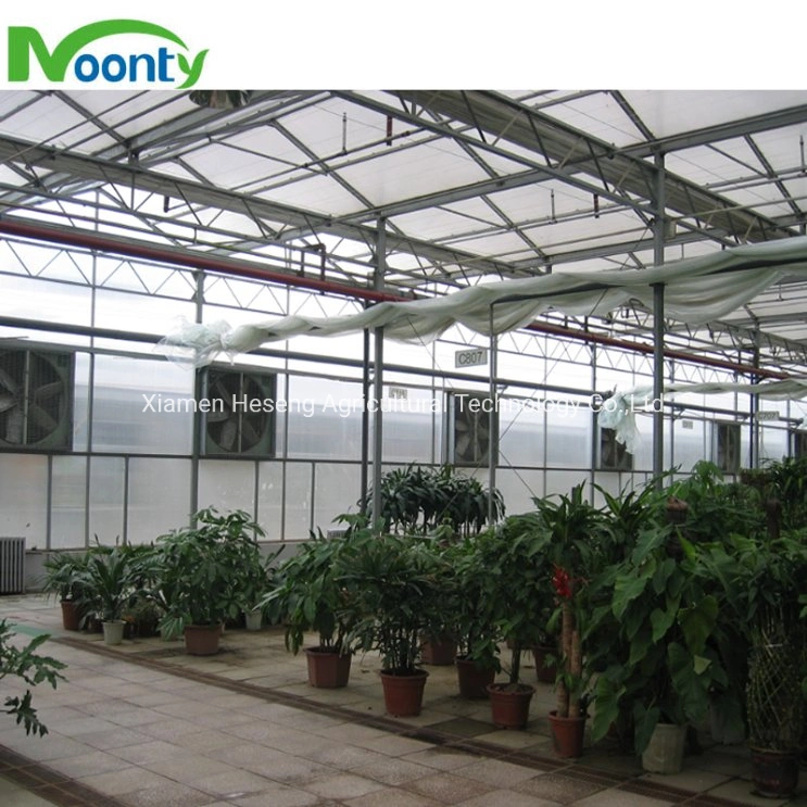 Modern Agricultural Velo Multi-Span Glass House High quality/High cost performance Solar Glass Greenhouse with Automatic Control System