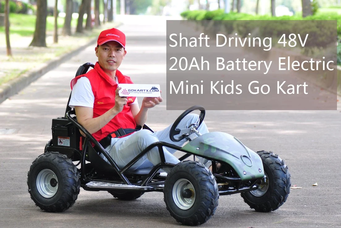 Mejor Precio 1000W Electric Kids Go Cart Go Kart 9 Niños en interiores