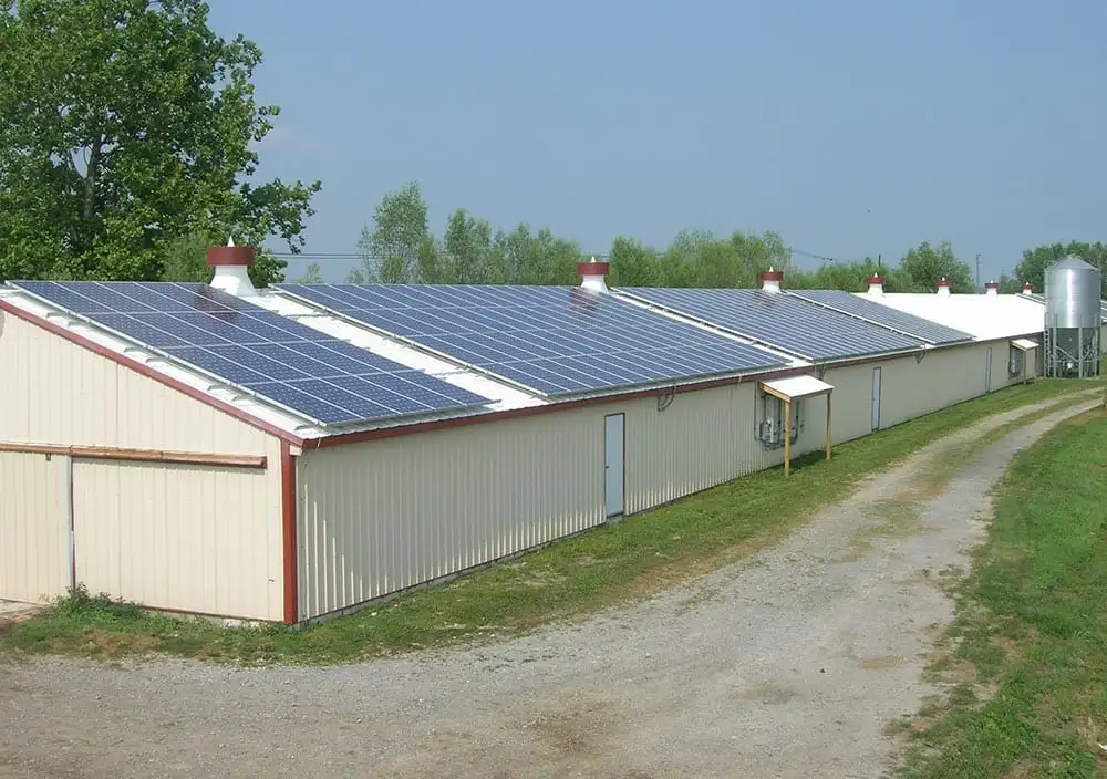 Light Steel Structure Galvanized Farm Shed Poultry House with Solar Panel Roof