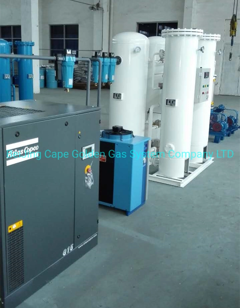 Nitrogen Plant by Psa Gas Generator for New Energy