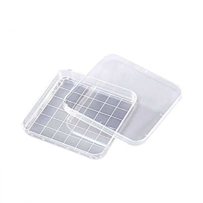 New Arrival Economical Transparent Disposable Petri Dish