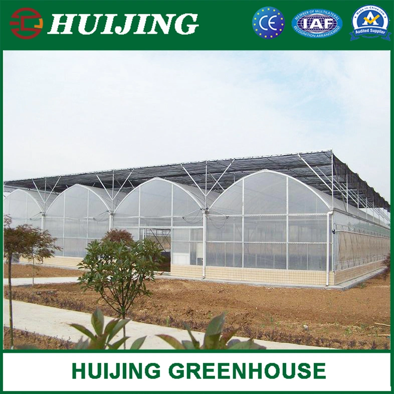 Barato Agrícola plástico película cubierta Multi Span Greenhouse para la venta