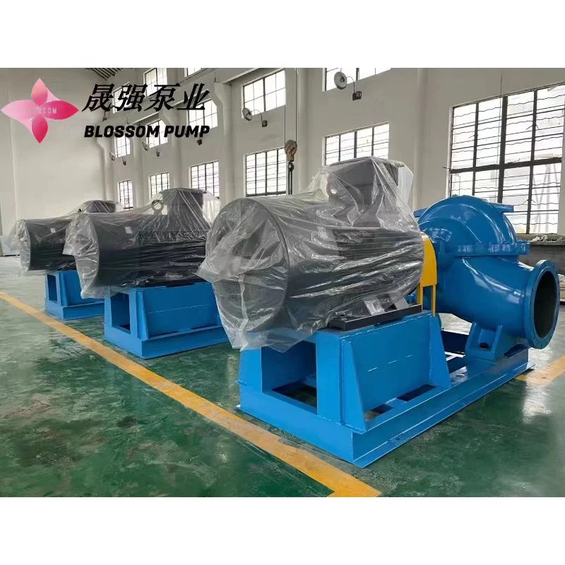 High Pressure Horizontal Single Stage Double Suction Split Case Centrifugal Water Pump for Water Conservancy Projects