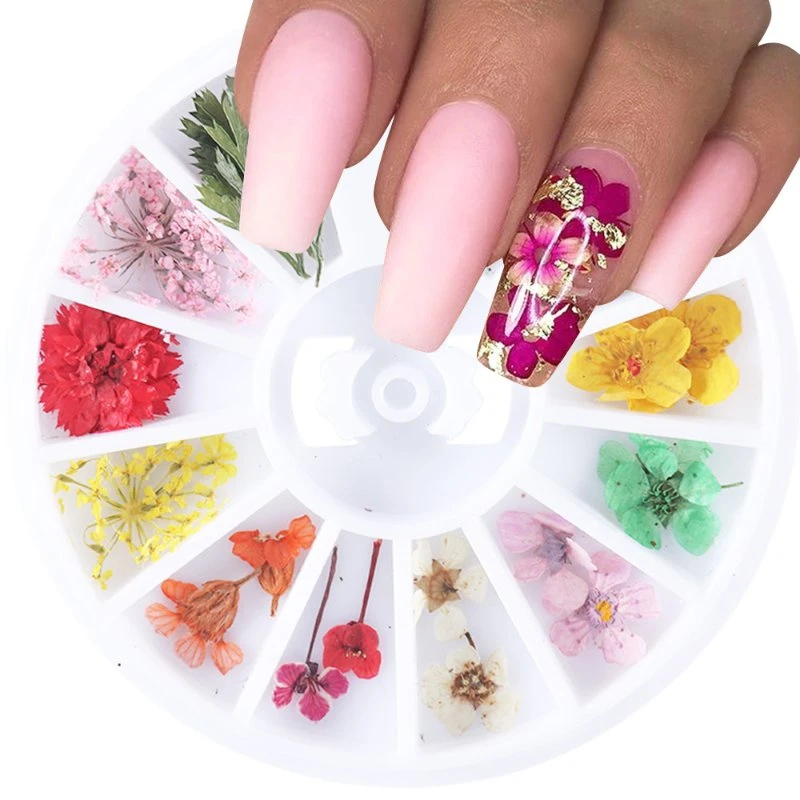 Manicure Dried Flower Nail Dehydration Lace Dry Flower Immortal 3D Solid Flower