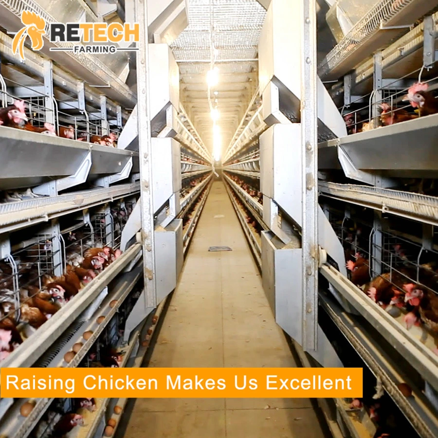 Automatic H type 4 tiers 240 birds layer chicken Battery cage