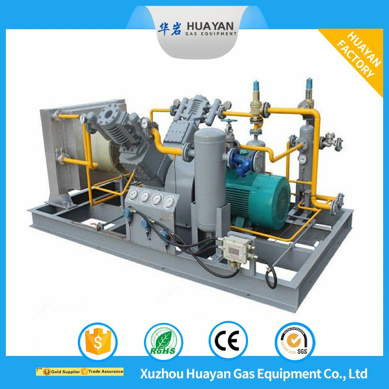 Dw-10/2 Best Quality High Pressure Oil Free CO2 Hydrogen Natural Gas Piston Compressor Reciprocating Compressor Price