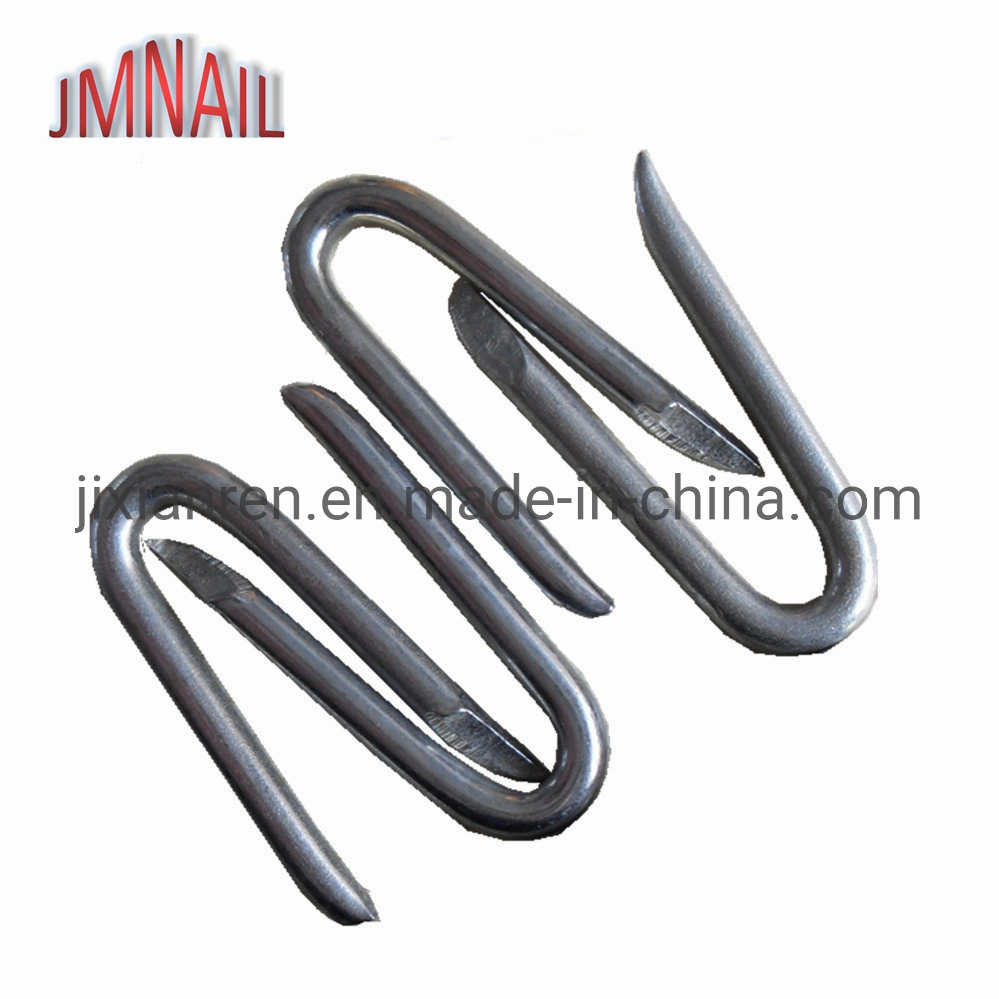 Galvanized U Shape Nails with Barbed Shank