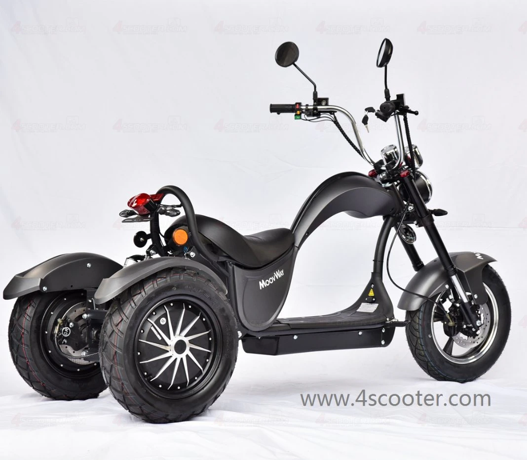 Rendimiento de alta calidad/alto costo Adulto EEC Tricycles 3 rueda doble Motor Motor Scooter Patineta Eléctrica