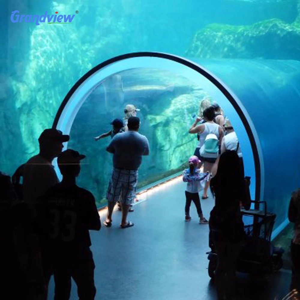 10m hojas de Plexiglás Acrílicas Océánicas transparentes de gran tamaño vidrio Túnel Acuario