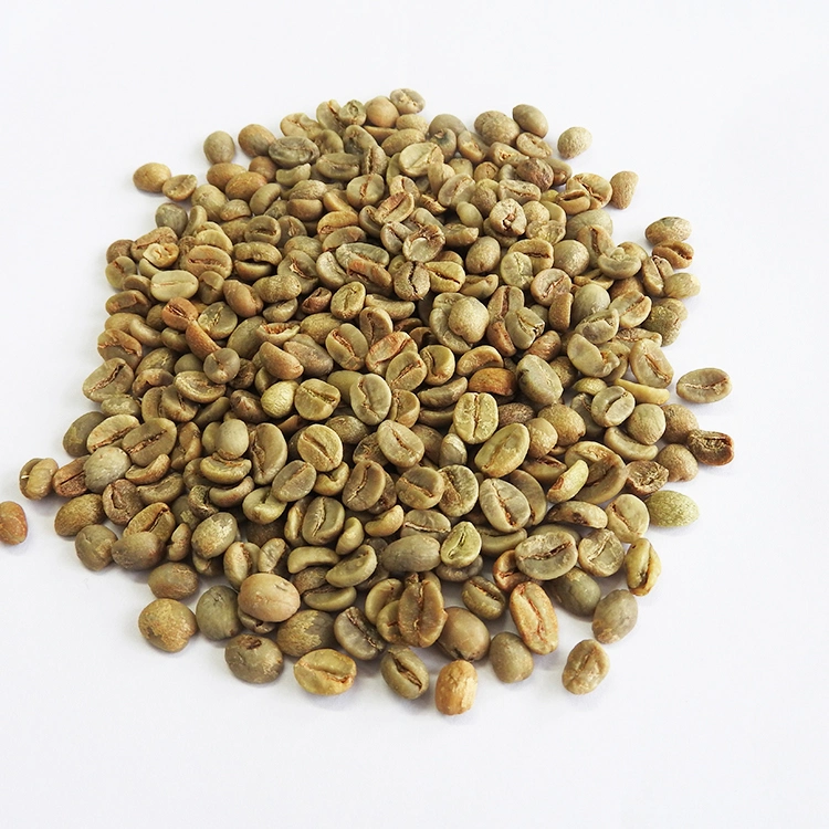 Export High quality/High cost performance Arabica Green Coffee Beans