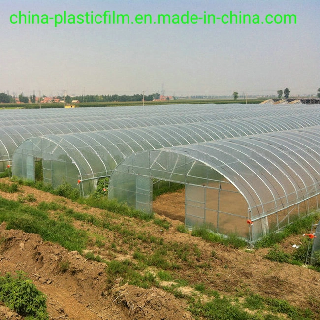 100/150/200 Micron Greenhouse Film Plastic Blowing with Five Years Life-Span