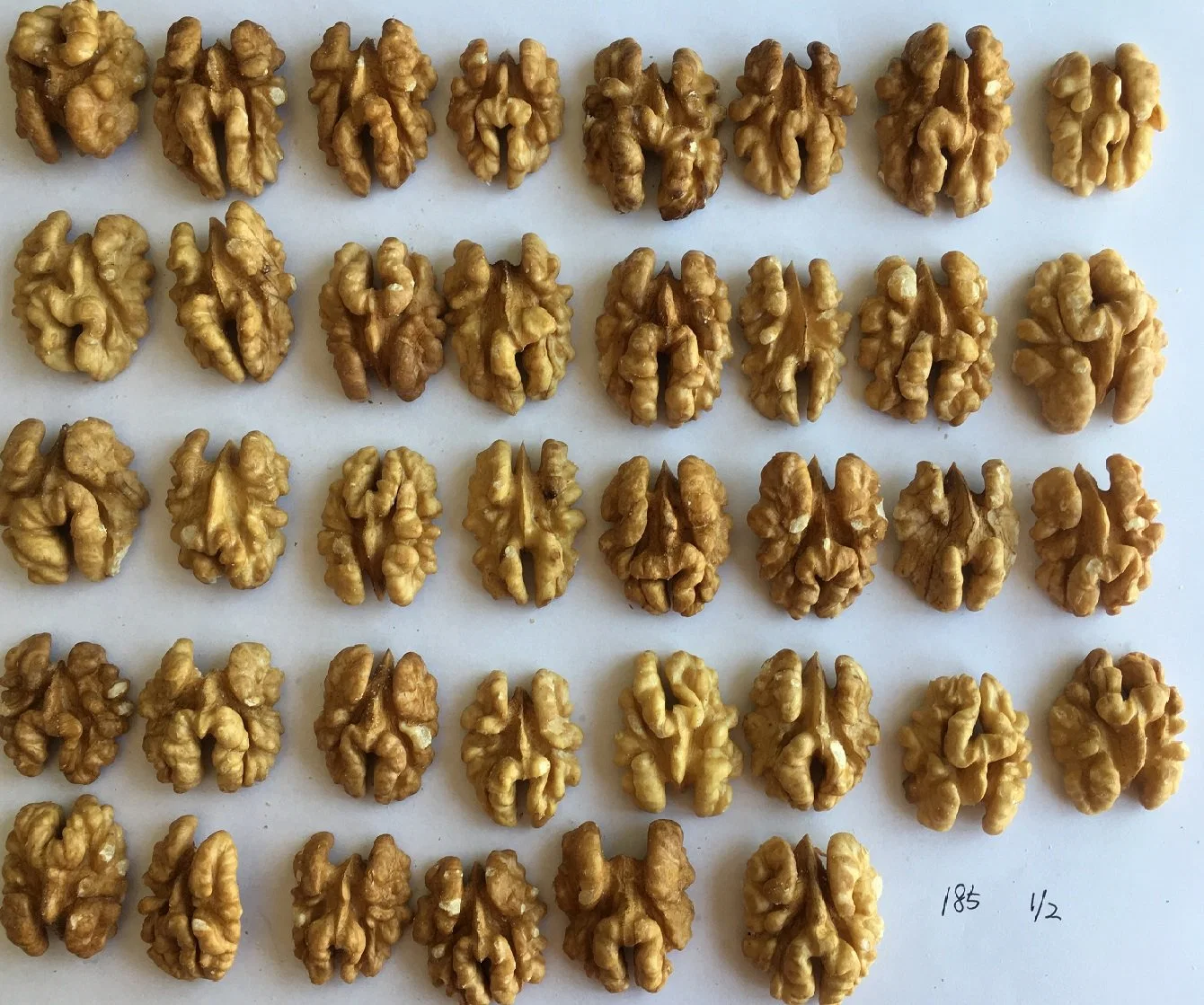 Wholesale/Supplier Natural Organic Top Grade White Walnuts Peeled Bulk Raw Walnut Kernels Nuts & Kernels