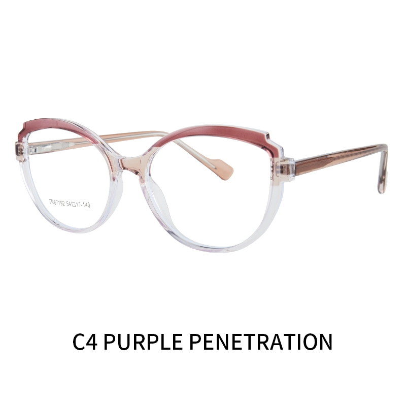 Tr87192 2023 Fresh New Model China Fashion Style Black High quality/High cost performance  Tr90 Optical Frame Anti Blue Eyeglasses